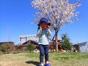 P4120123.JPG