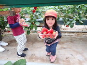 P4240009.JPG
