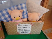 PC230919.JPG